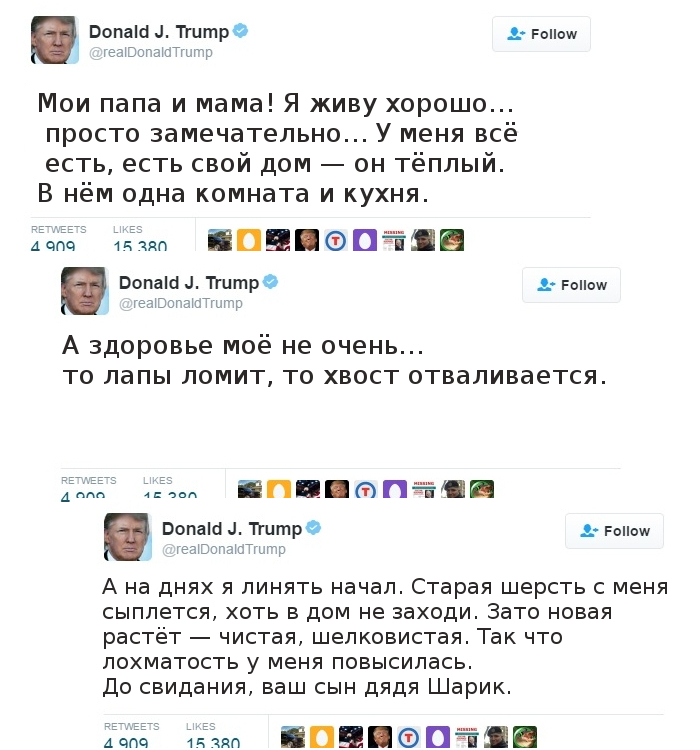 Briefly about the current moment. Prostokvashino is Trump's secret residence! - Humor, Politics, Donald Trump, Syria, Twitter