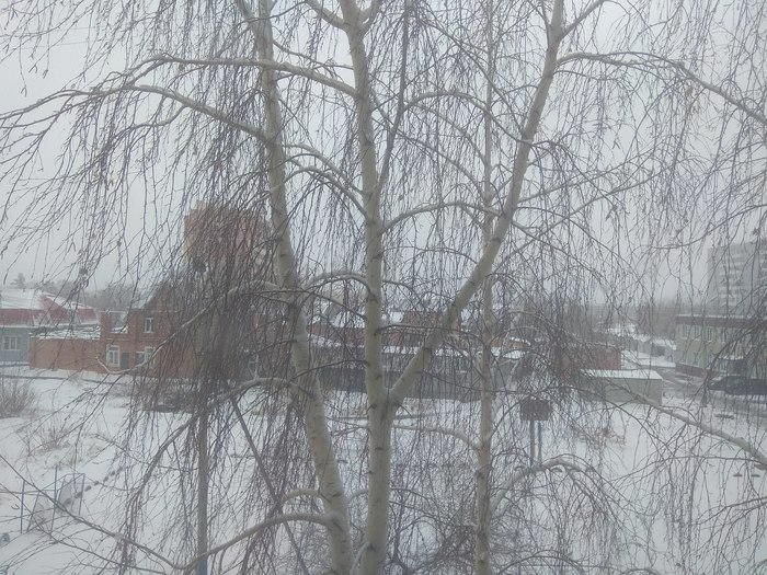 Winter is not giving up. - Winter, Spring, Omsk