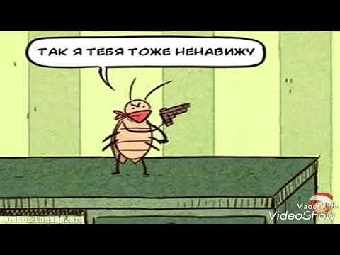 How do I get an apartment. - My, Text, Story, Cockroaches, Madness, Longpost