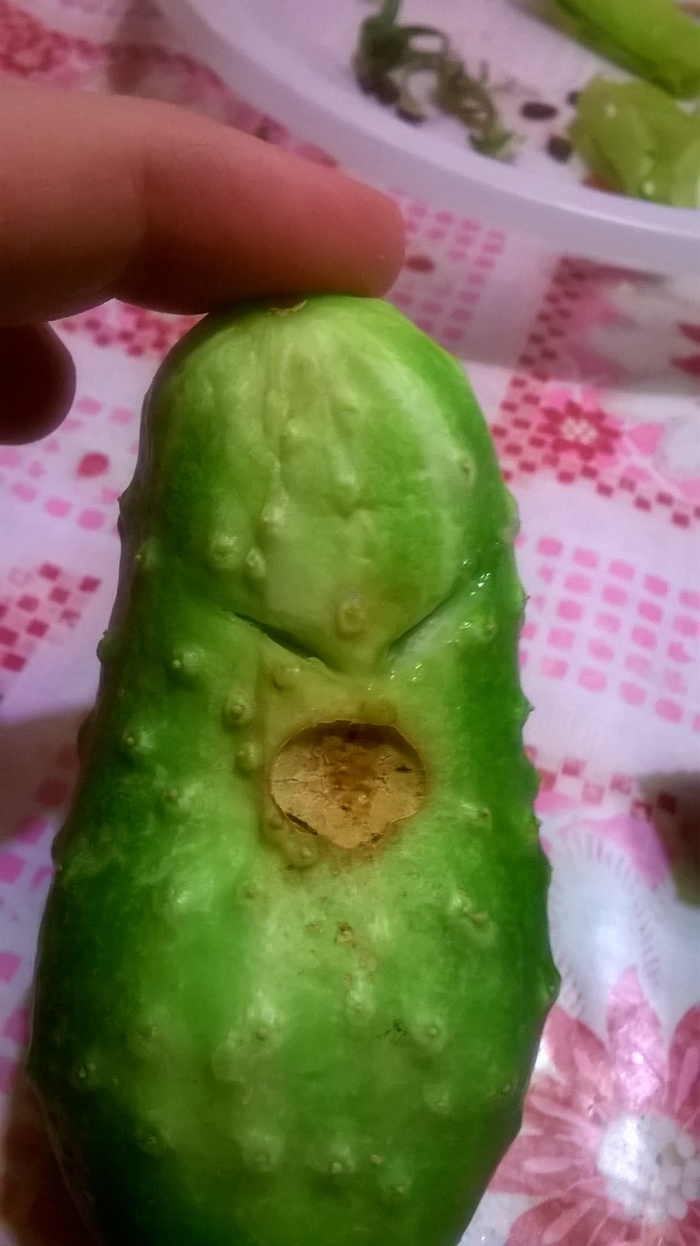 When a man with a bitter ass got caught - My, Cucumbers, Food
