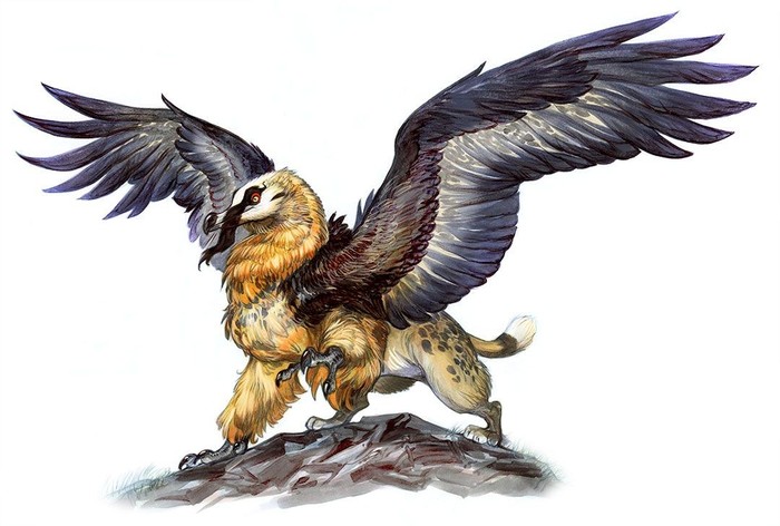 Грифон-ягнятник