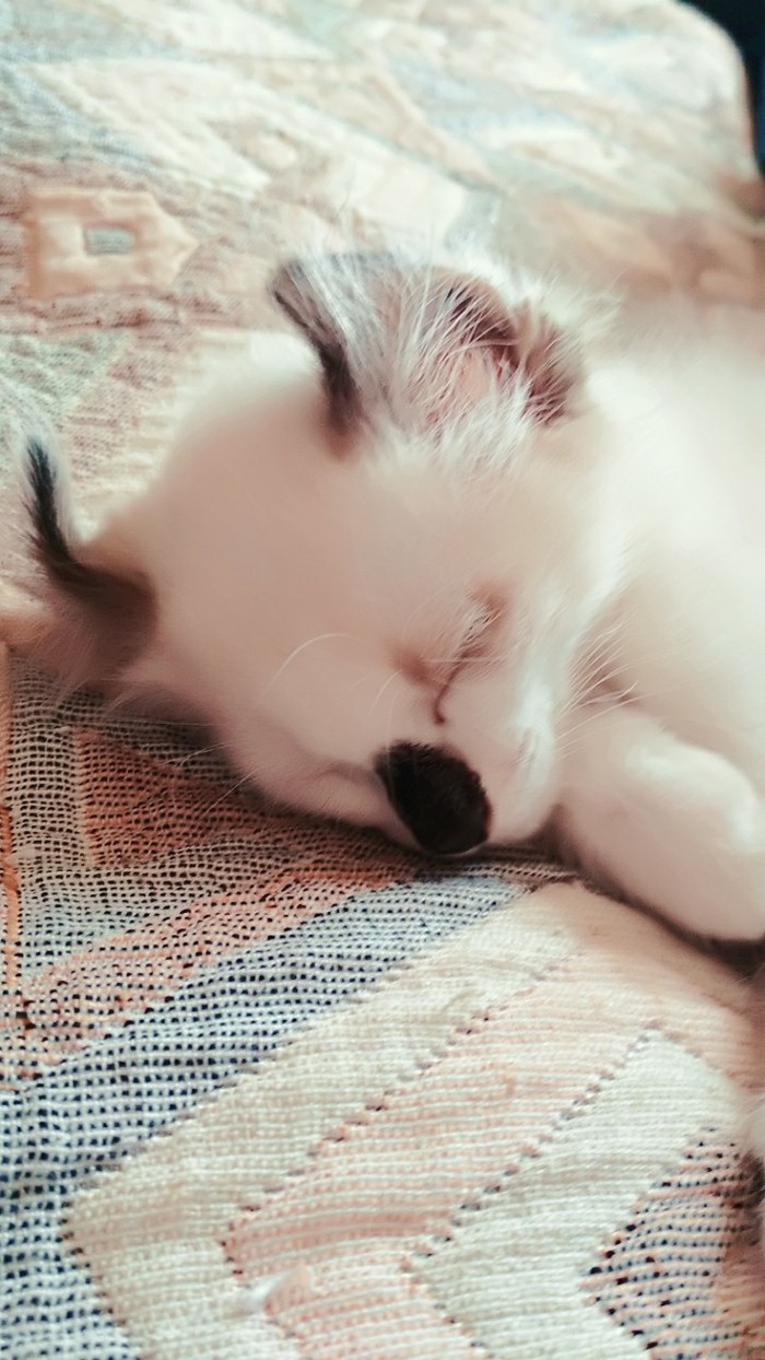  ,   , , 