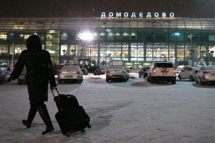 A blogger who carried fake grenades was detained at Domodedovo Airport - Domodedovo, The airport, Bloggers, Drawing, Humor