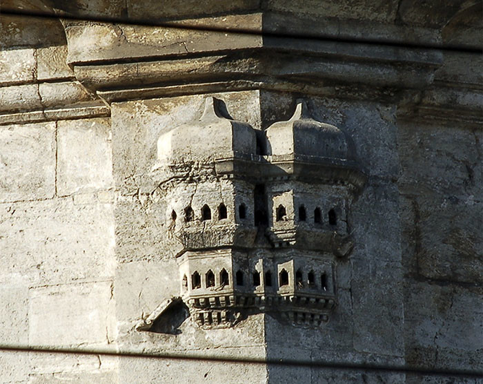 Luxurious bird palaces in Turkey - Turkey, Birds, , Longpost