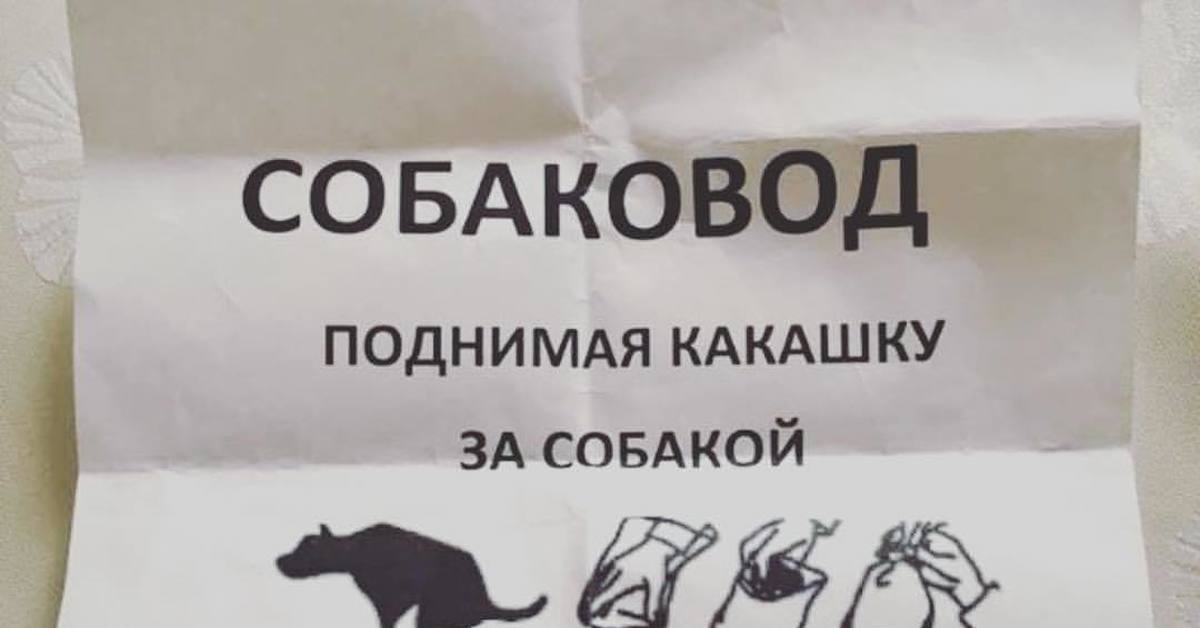 поднимая какашку за собакой