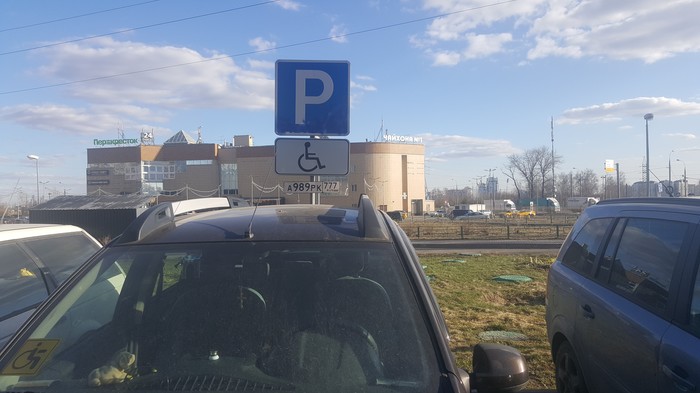 When you are disabled and have your own parking - Cattle, Parking, My, Cunning