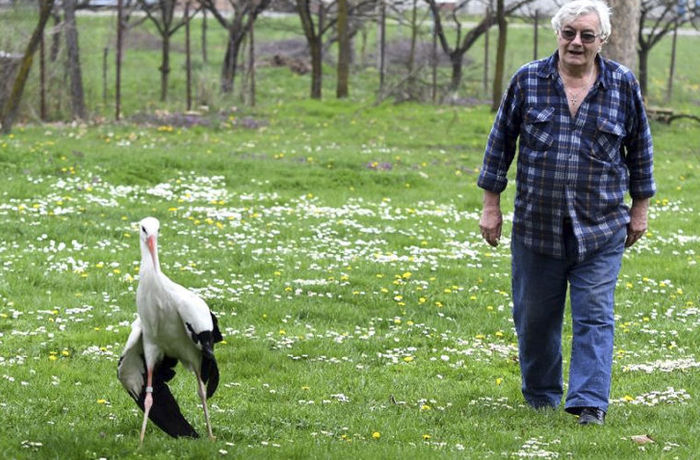 Klepetan and Malena - Birds, Stork, Croatia, Loyalty