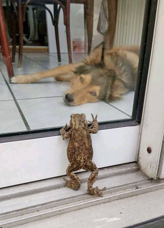 !  ...) , ,  