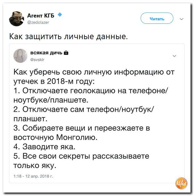 Лучший вариант!) - Twitter, Nyka, Юмор, Персональные данные