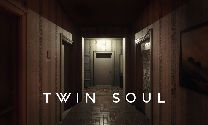 Twin Soul.    Twin Soul, Unreal Engine 4, , , Gamedev, , 