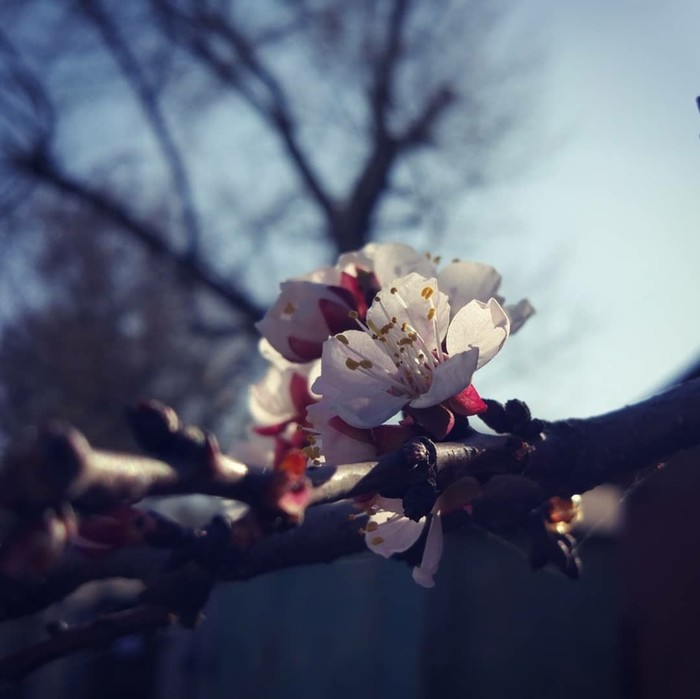 Ростов-на-Дону ,+13