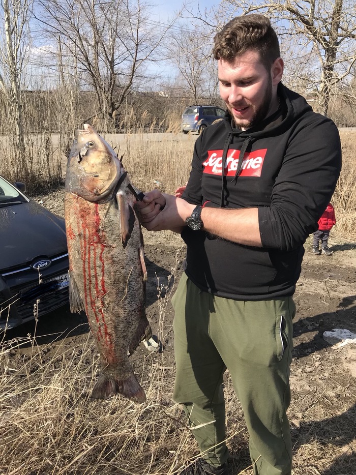 went fishing 2 - My, Longpost, Silver carp, Catch, Saratov, Fishing