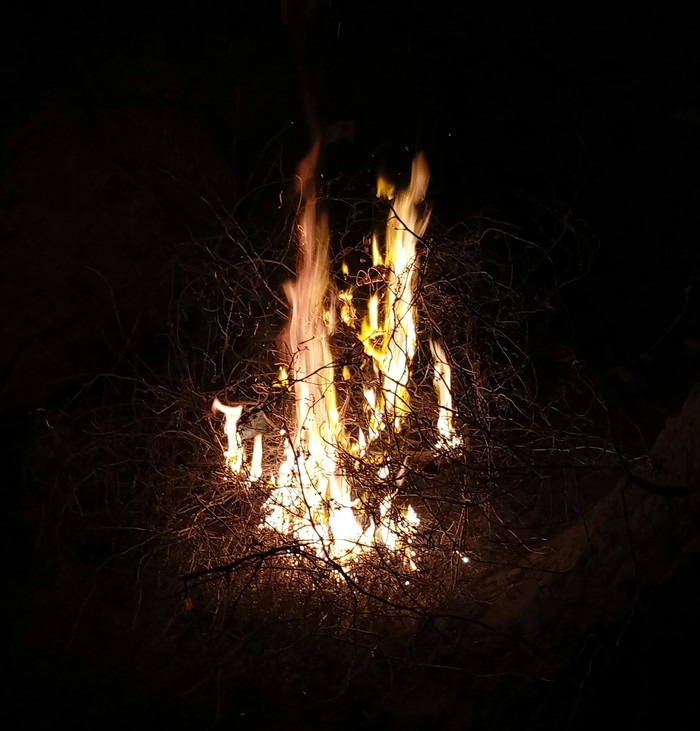 Bonfire - My, My, Bonfire, Spring, Evening