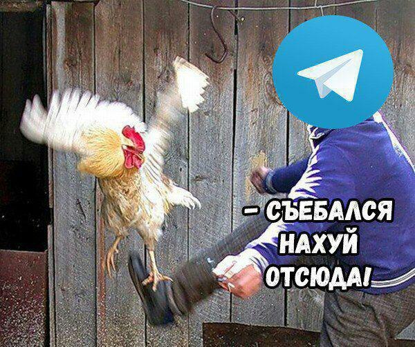 Telegram’s interaction with Roskomnadzor looks something like this - Telegrams, Telegram, Roskomnadzor, Blocking, Humor