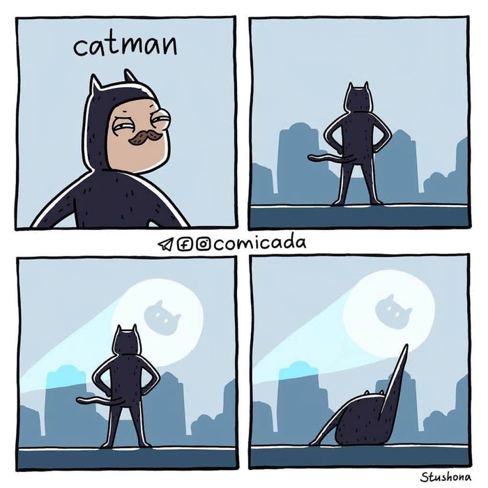 Catwoman vs Catman , -, , Instagram, DC Comics