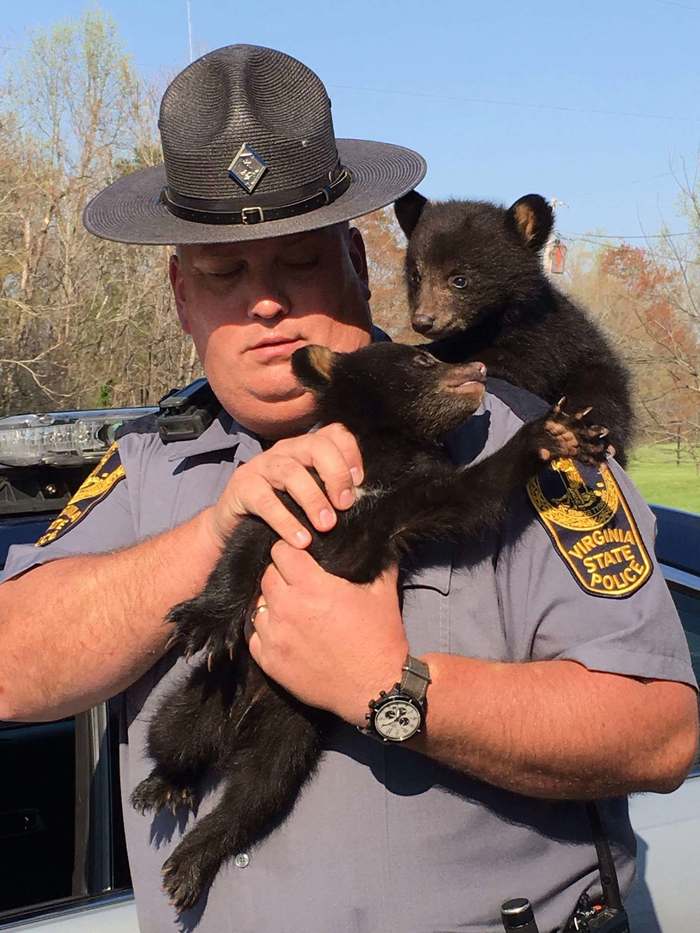 Teddy bears - The Bears, Police, The photo, US police