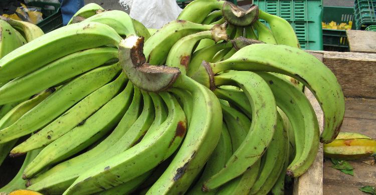 Самый Вкусный Банан Фото