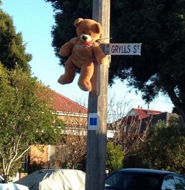 ��������