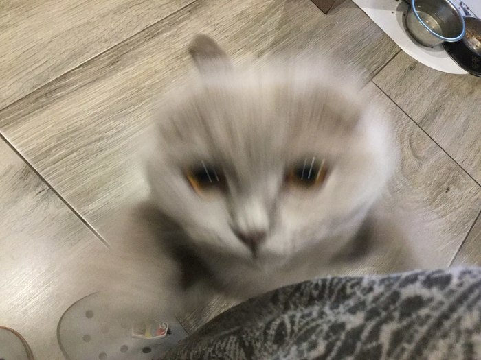 ,   ,  , 