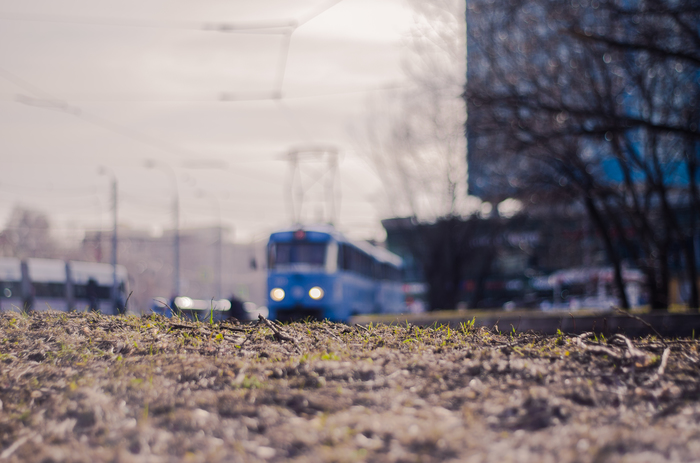 Spring in Shchukino - My, Spring, Moscow, Tram, Shchukino, Grass