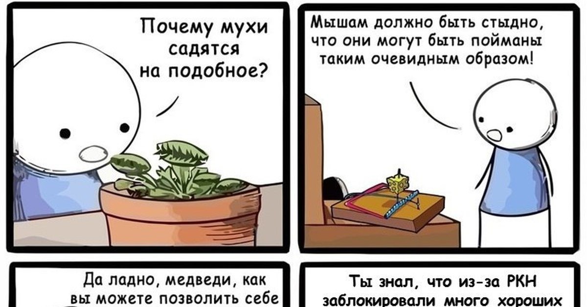 Как вы можете. Почему мухи садятся на подобное. Как можно попасть в такую ЛОВУШКУ. Мышам должно быть стыдно Мем. Как можно попасть в такую ЛОВУШКУ Мем.