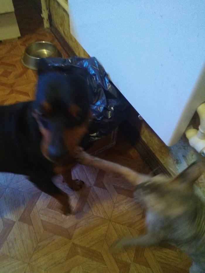   ,    ... , , 