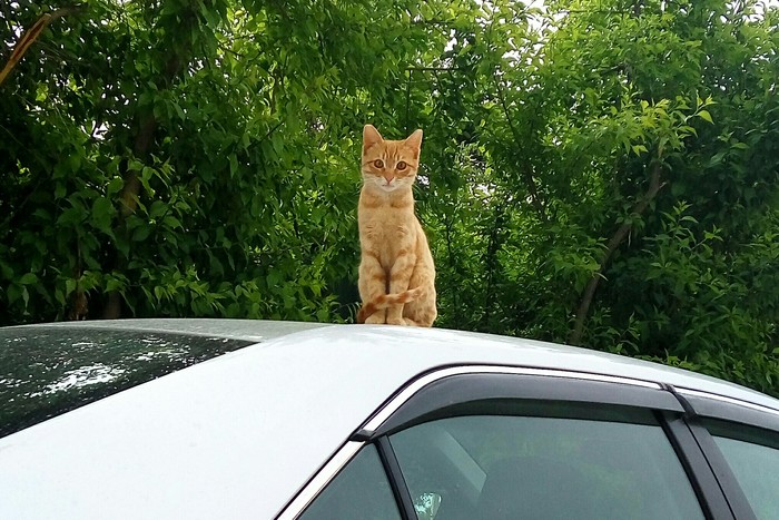 ������ ��-��-��