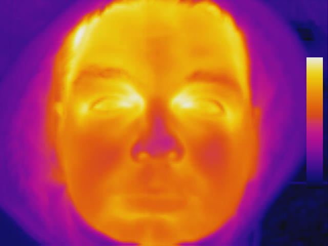 Thermal imager in action - My, Thermal imager, Infrared shooting, Heat map, Longpost