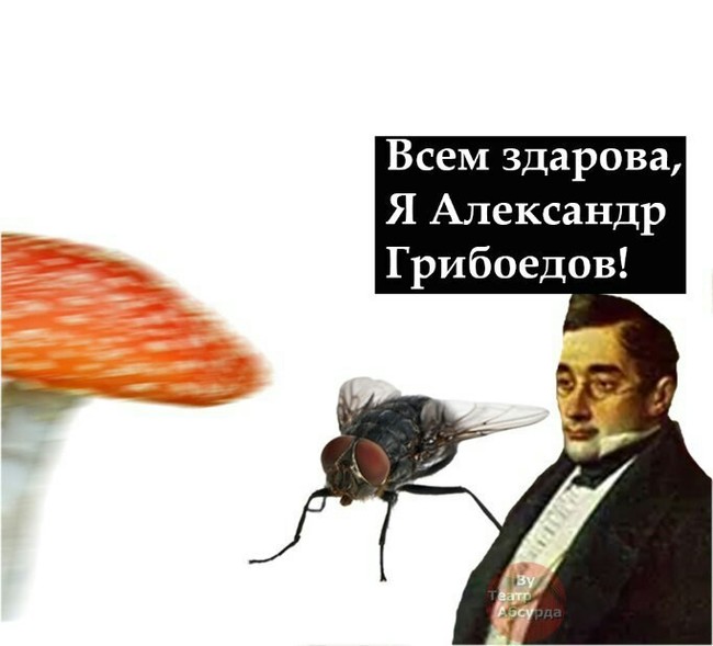 Theater of the absurd - Муха, Mushrooms, Absurd, , Humor, From the network, Longpost, Alexander Griboyedov