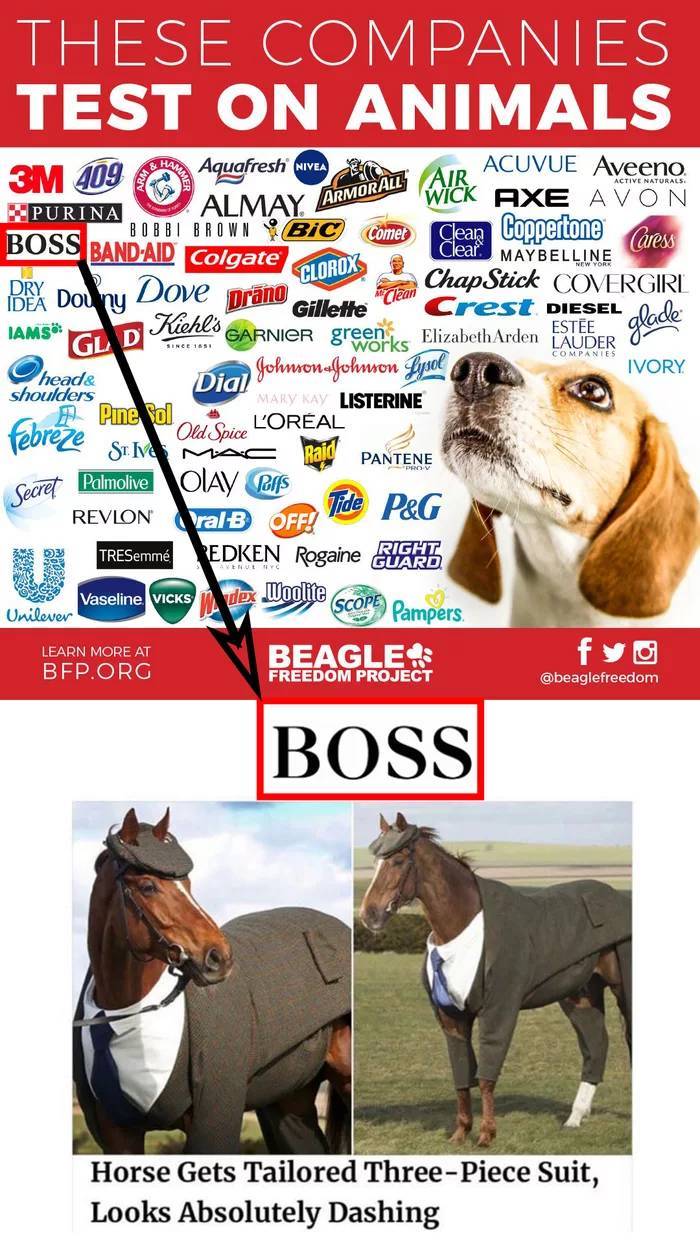 Эти компании тестируют свою продукцию на животных. | Пикабу