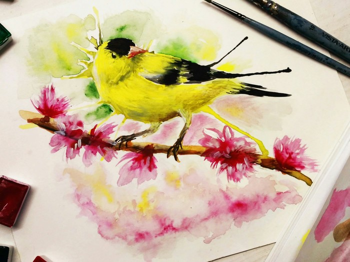 Little bird - My, Birds, Drawing