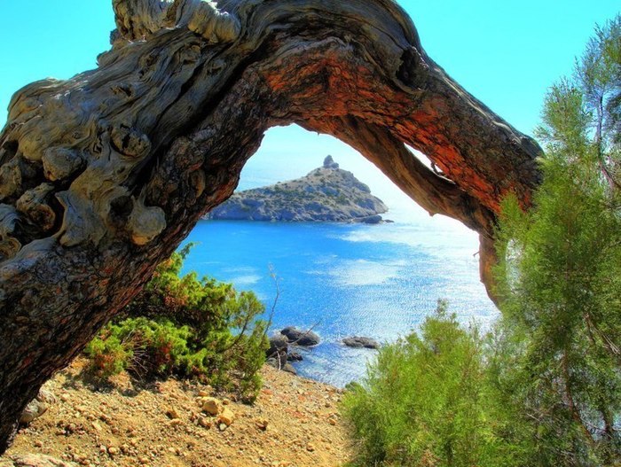 Новый Свет. Крым. Крым, Красивое, Природа, Длиннопост, Картинка с текстом, Интересное, Путешествия, Отдых