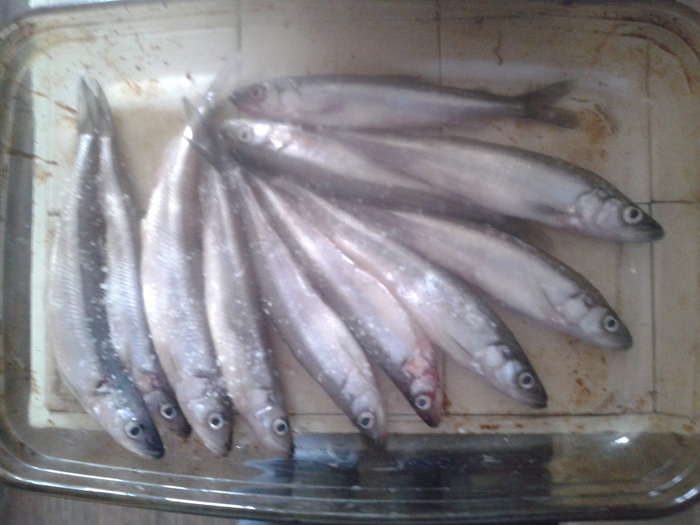 Friday smelt - My, Smelt, Cooking, Friday, Longpost