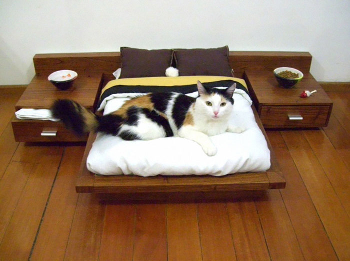 Лежанка для кота, или нафига коту тумбочка. кот, Кровать, Деревообработка, своими руками, ЧПУ, длиннопост