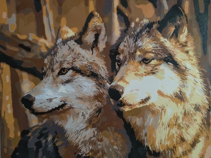 Волки краской