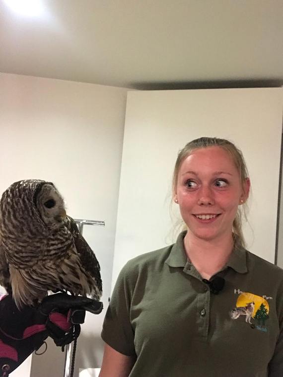 Today I saw an owl. We had the same reaction - Owl, Girls, Hand, Gloves, The fright, Reddit
