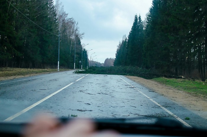 Light spring thunderstorm - My, Weather, Thunderstorm, Hurricane, April, Longpost