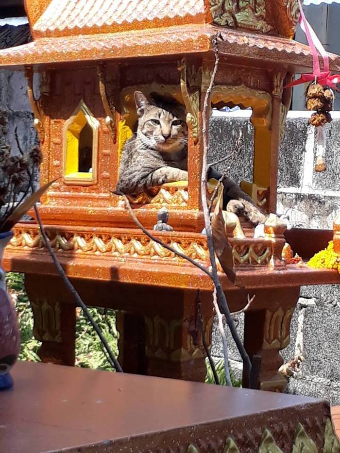 Объект поклонения