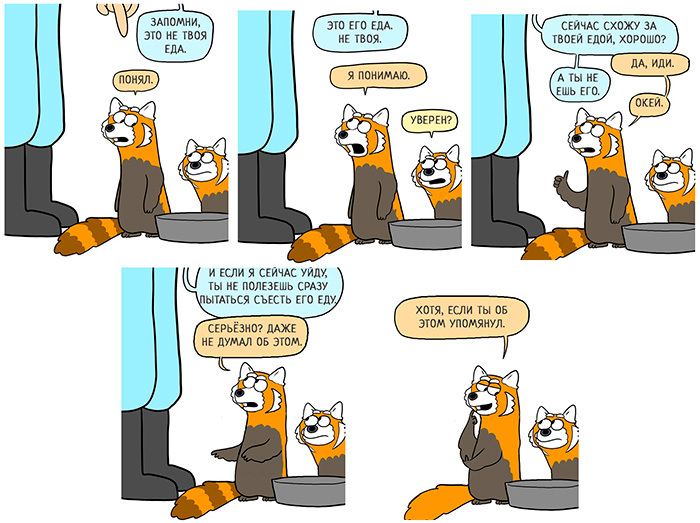 sly panda - Comics, GIF, Red panda, Reddit, Translation, Humor, GIF with background