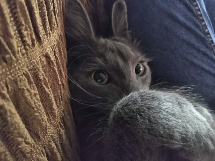 ��� ��� �������� ������.