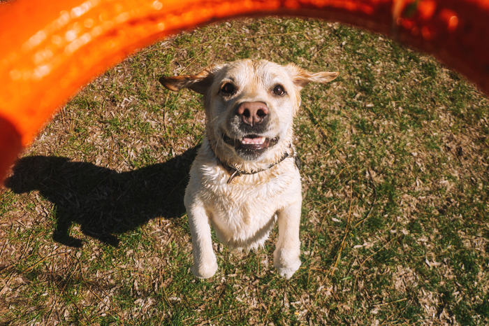 ����������))