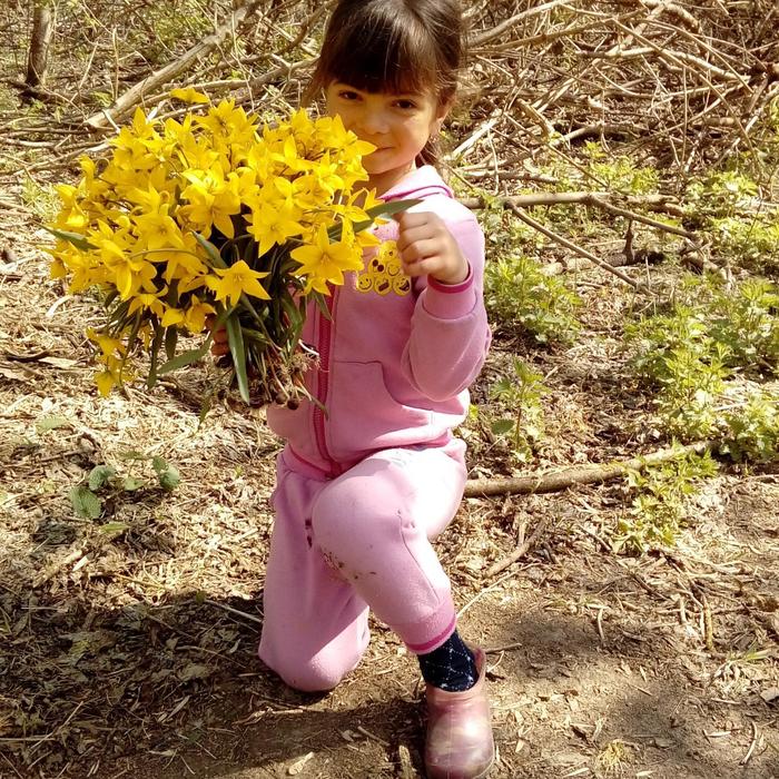 Tell me what kind of flowers? - Flowers, Red Book, Rostov region