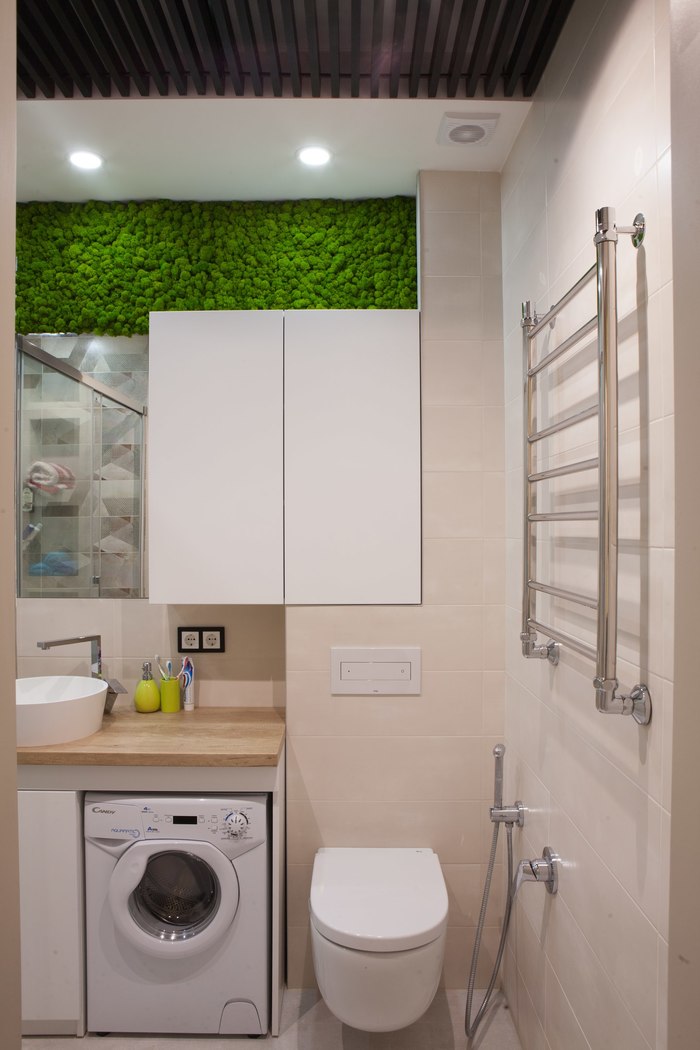 ����������������� ��� � ���������. ������, ���, ��������, ��������, ������ ���������, ����������