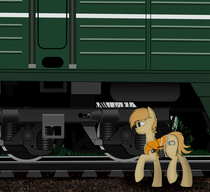 Проверка вагонов My Little Pony, Original Character, Subway777
