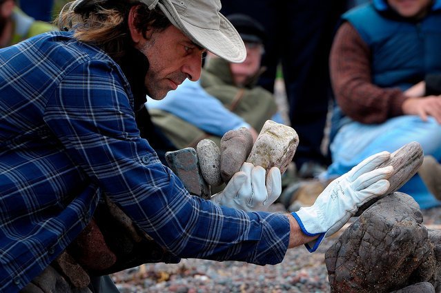 European Championships in laying stones in Dunbar (16 photos) - A rock, Shore, Scotland, Competitions, The photo, Longpost