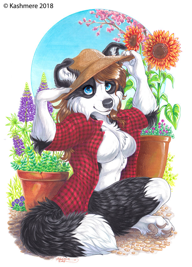 collie garden - Kashmere, Furry, Art, Garden, Dog, Plants