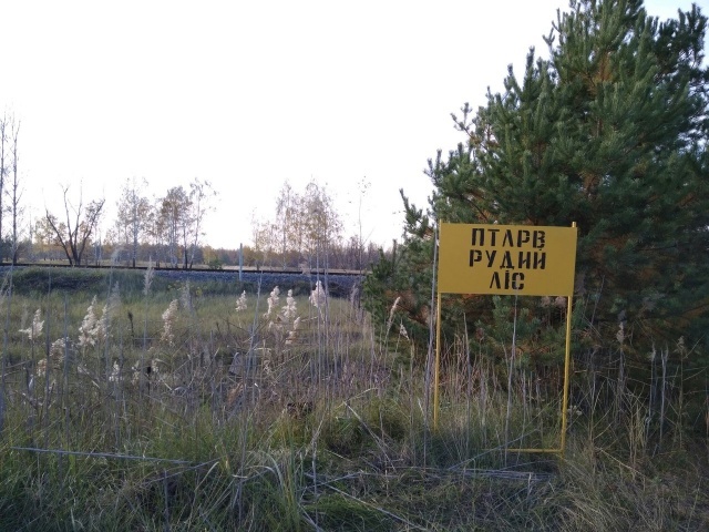 32 years later: what the Chernobyl nuclear power plant looks like today - NHS, Pripyat, Chernobyl, Chernobyl, , Longpost