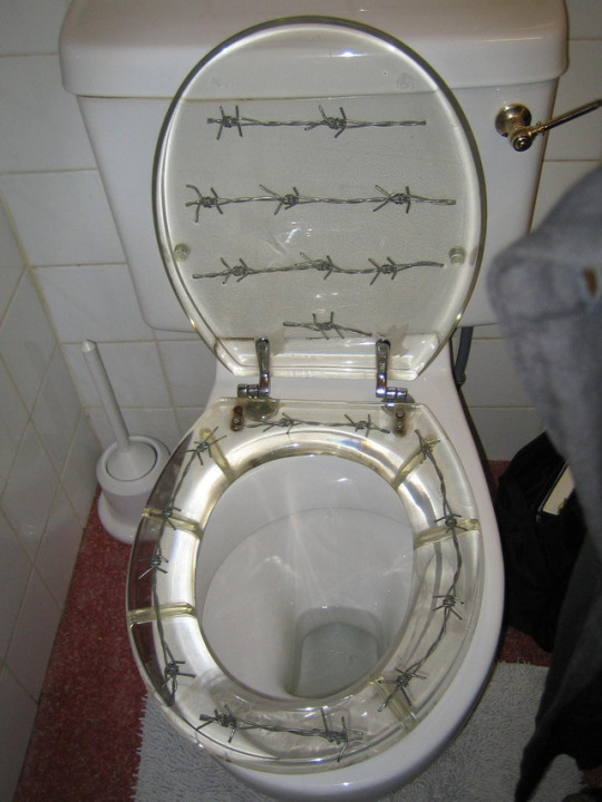 Thrill - Toilet, Barbed wire