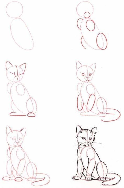 Draw a cat - cat, Tutorial, Drawing, Pencil drawing, Pen drawing, Meow, Artist, Animals