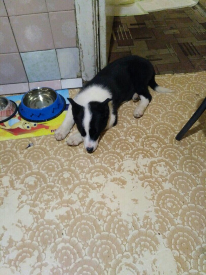 , , .    ? , ,    , 